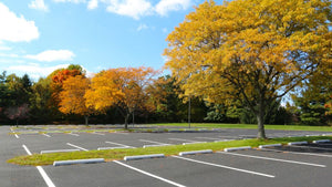 What a Well-Maintained Parking Lot Says About Your Business