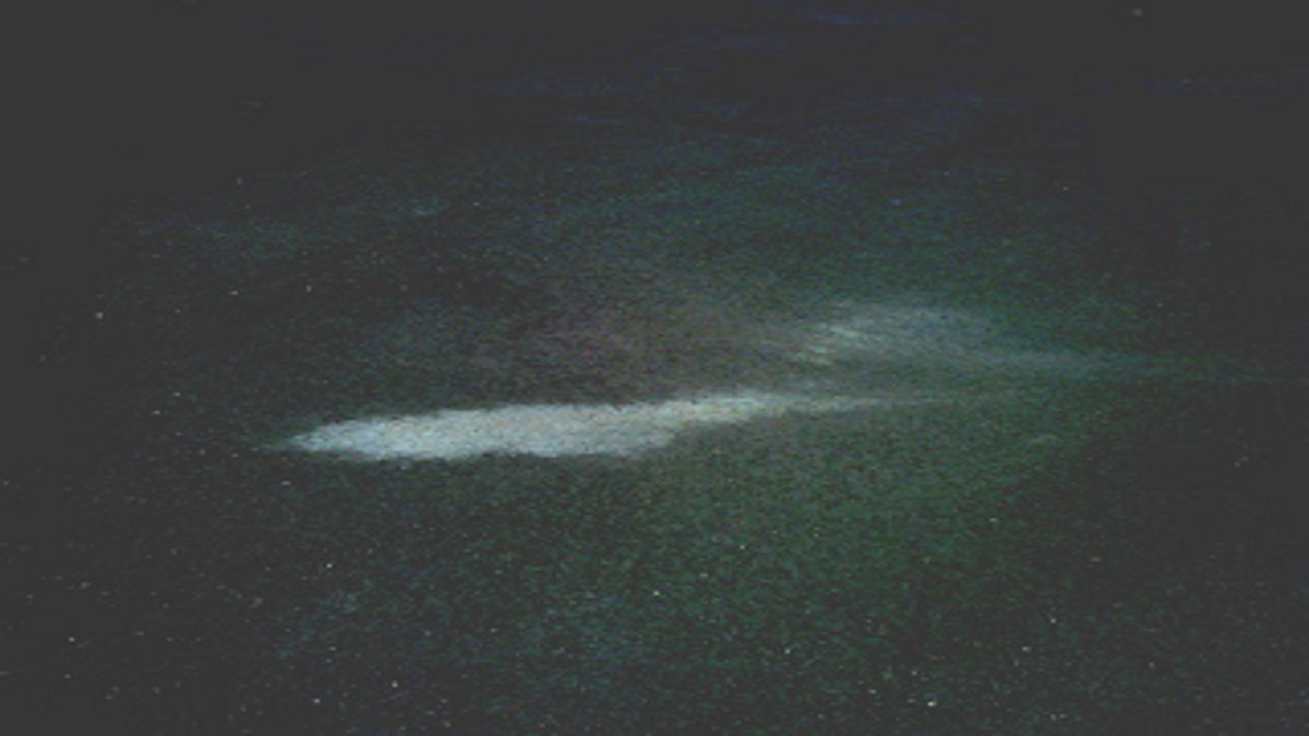 White Stains on Freshly Sealed Asphalt