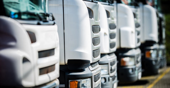 Several tall, white semi-trucks parked neatly in a row within parking spaces marked by yellow lines.