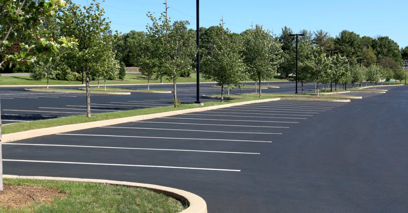 An empty paved parking lot with white lines, trees along the side, and a bright clear blue sky overhead.
