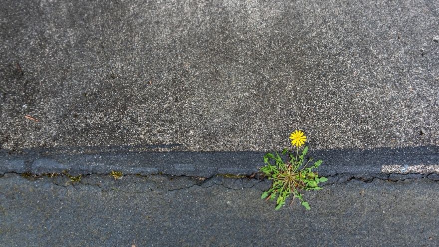 Essential Driveway Maintenance for the Spring